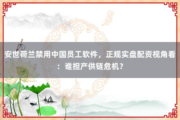 安世荷兰禁用中国员工软件，正规实盘配资视角看：谁担产供链危机？