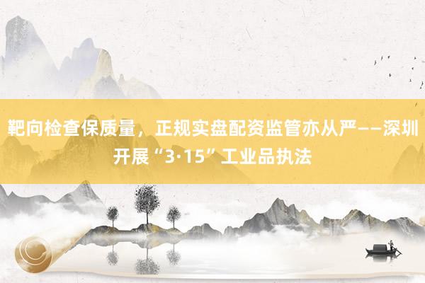 靶向检查保质量，正规实盘配资监管亦从严——深圳开展“3·15”工业品执法