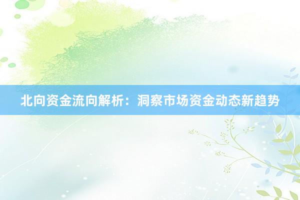 北向资金流向解析：洞察市场资金动态新趋势