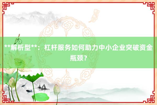 **解析型**：杠杆服务如何助力中小企业突破资金瓶颈？