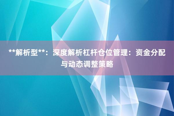 **解析型**：深度解析杠杆仓位管理：资金分配与动态调整策略