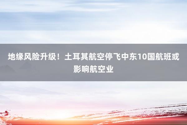 地缘风险升级！土耳其航空停飞中东10国航班或影响航空业