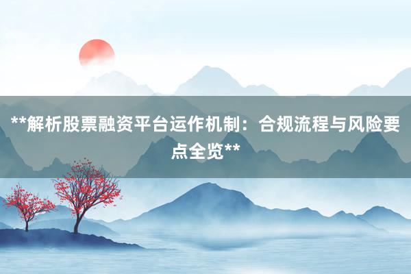 **解析股票融资平台运作机制：合规流程与风险要点全览**