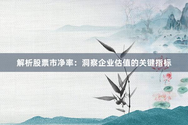 解析股票市净率：洞察企业估值的关键指标