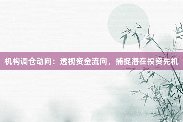 机构调仓动向：透视资金流向，捕捉潜在投资先机