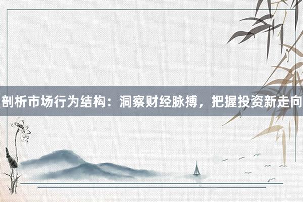剖析市场行为结构：洞察财经脉搏，把握投资新走向