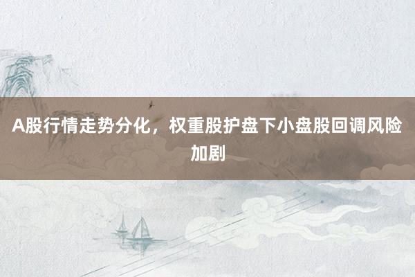 A股行情走势分化，权重股护盘下小盘股回调风险加剧