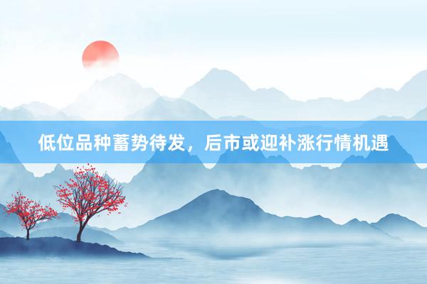 低位品种蓄势待发，后市或迎补涨行情机遇
