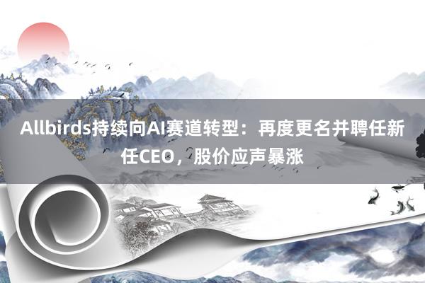 Allbirds持续向AI赛道转型：再度更名并聘任新任CEO，股价应声暴涨