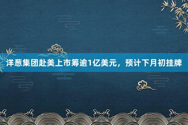 洋葱集团赴美上市筹逾1亿美元，预计下月初挂牌