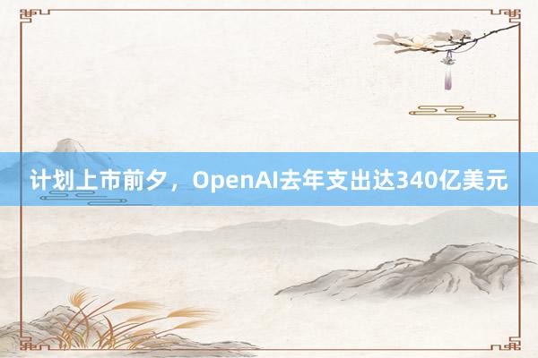计划上市前夕，OpenAI去年支出达340亿美元
