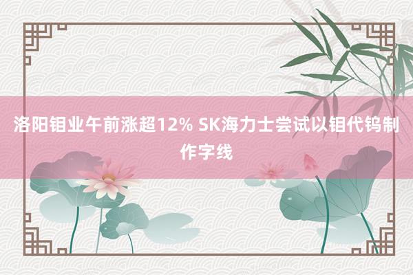 洛阳钼业午前涨超12% SK海力士尝试以钼代钨制作字线