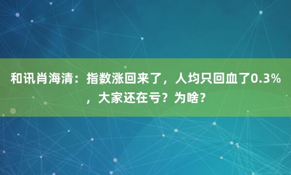 和讯肖海清：指数涨回来了，人均只回血了0.3%，大家还在亏？为啥？