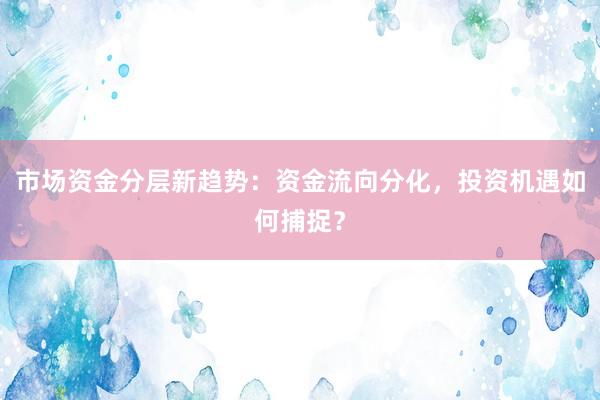 市场资金分层新趋势：资金流向分化，投资机遇如何捕捉？