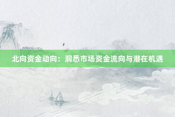 北向资金动向：洞悉市场资金流向与潜在机遇