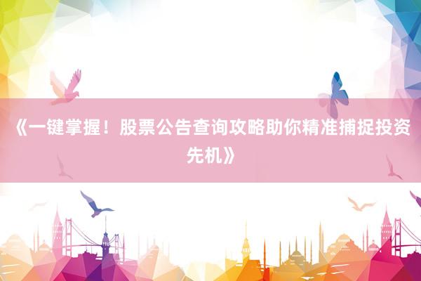 《一键掌握!股票公告查询攻略助你精准捕捉投资先机》