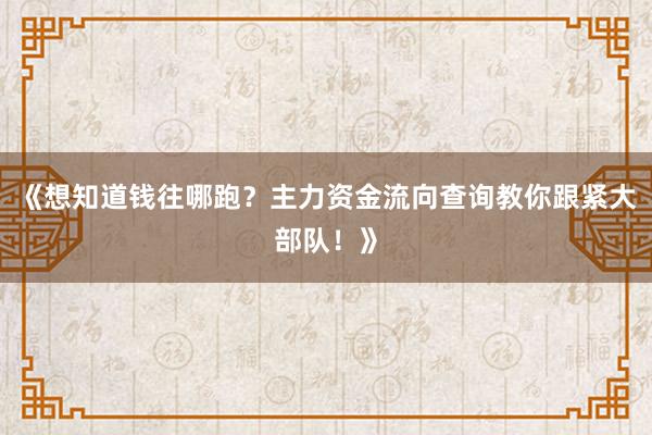 《想知道钱往哪跑?主力资金流向查询教你跟紧大部队!》