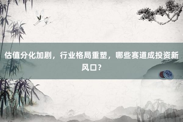 估值分化加剧，行业格局重塑，哪些赛道成投资新风口？