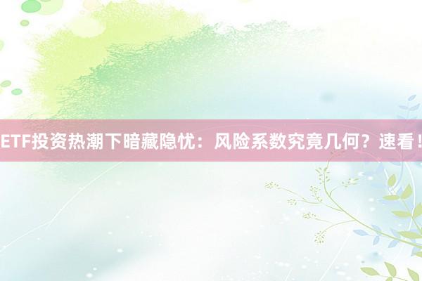 ETF投资热潮下暗藏隐忧：风险系数究竟几何？速看！