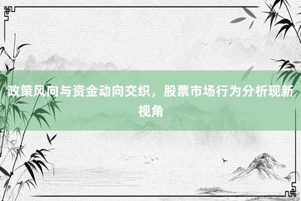 政策风向与资金动向交织，股票市场行为分析现新视角