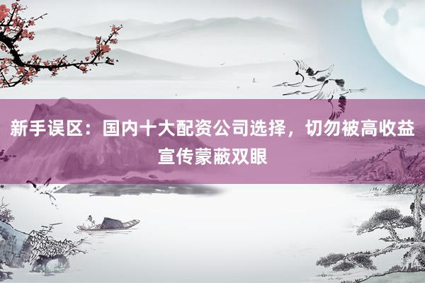 新手误区：国内十大配资公司选择，切勿被高收益宣传蒙蔽双眼