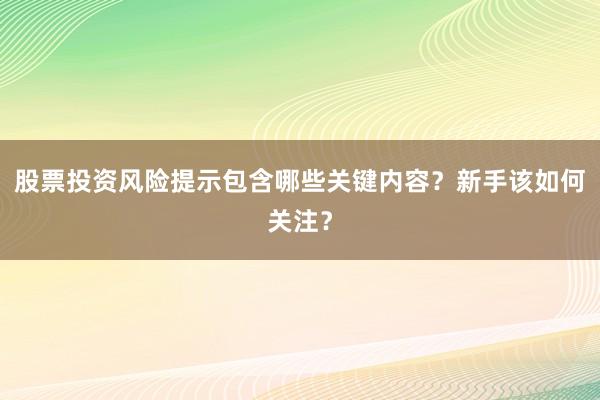 股票投资风险提示包含哪些关键内容？新手该如何关注？