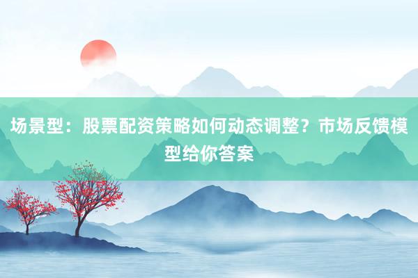 场景型：股票配资策略如何动态调整？市场反馈模型给你答案